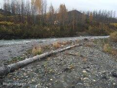 9170 S Cache Crk Drive, Trapper Creek, Alaska image 22
