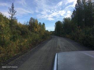 9170 S Cache Crk Drive, Trapper Creek, Alaska image 32
