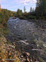 9170 S Cache Crk Drive, Trapper Creek, Alaska image 20