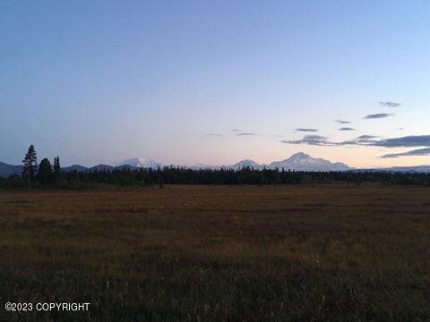 9170 S Cache Crk Drive, Trapper Creek, Alaska image 34