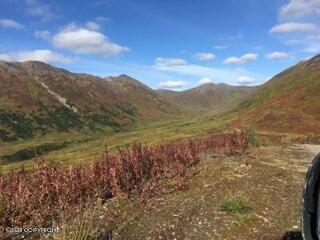 9170 S Cache Crk Drive, Trapper Creek, Alaska image 7