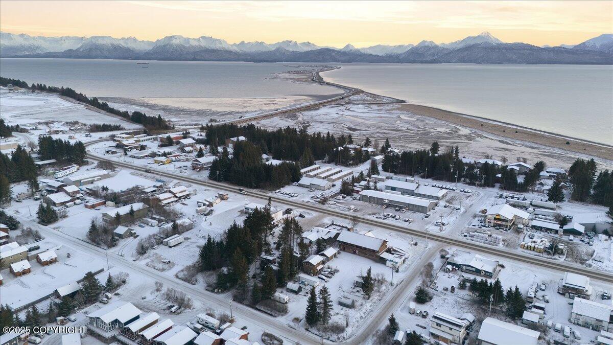 Homer, Alaska 99603, United States, ,Commercial,Active,247876