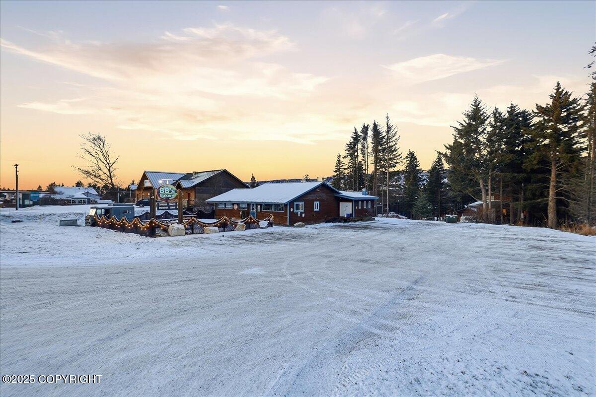 Homer, Alaska 99603, United States, ,Commercial,Active,247876