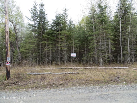 Vacant Land For Sale - L6 Tolum Road<br/> Kasilof, AK 99610