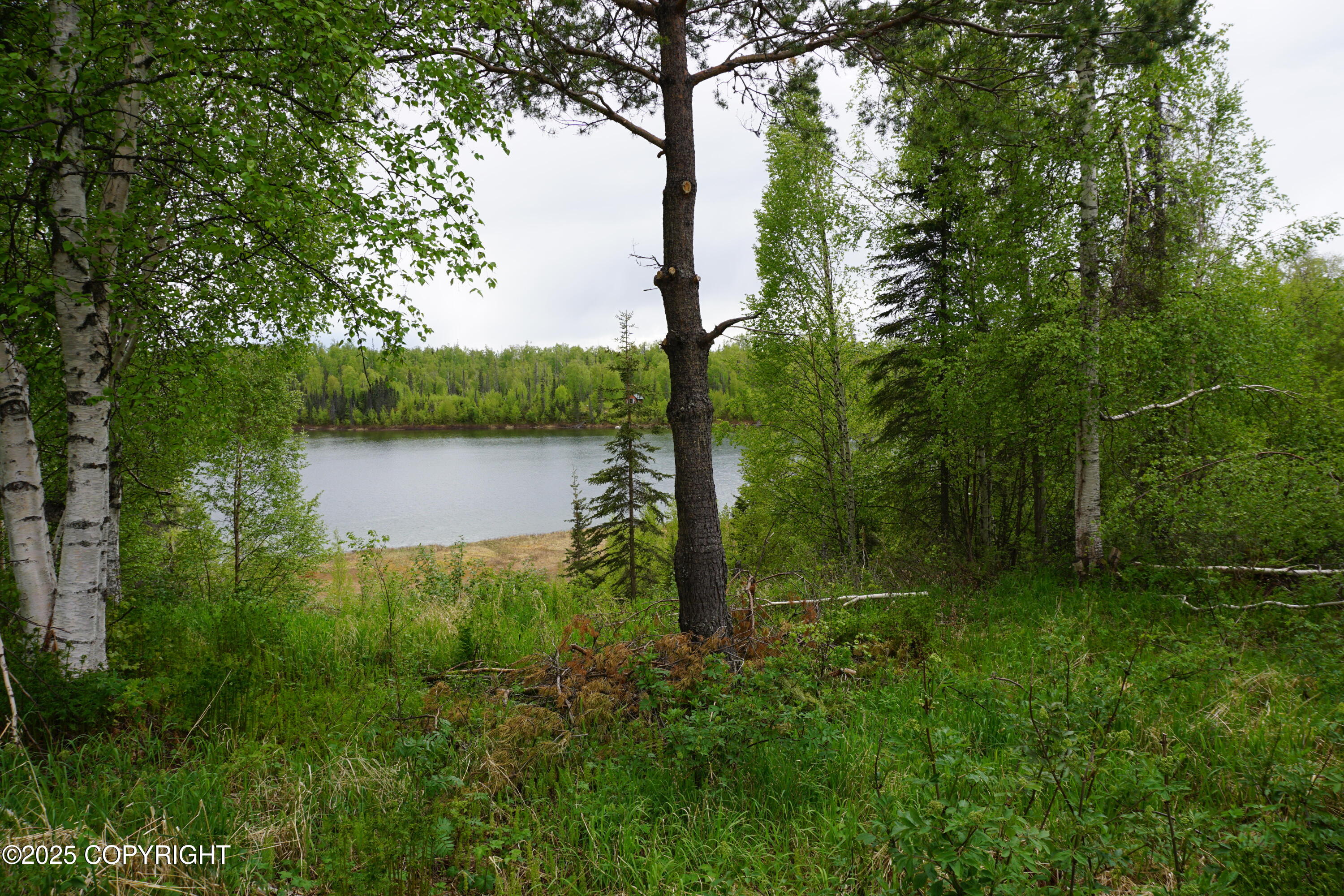 No Road Front Lake Asls 78-090, Talkeetna, Alaska image 41