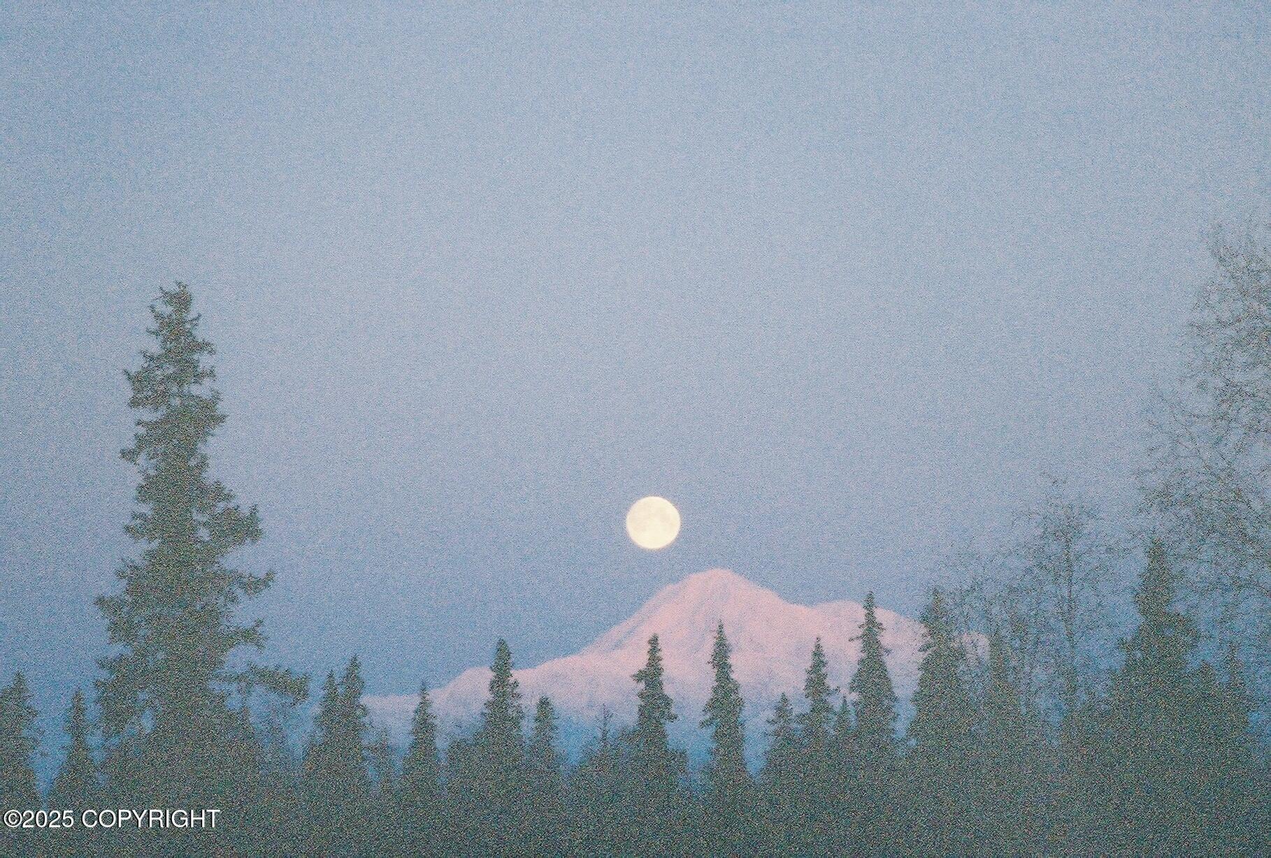 No Road Front Lake Asls 78-090, Talkeetna, Alaska image 2