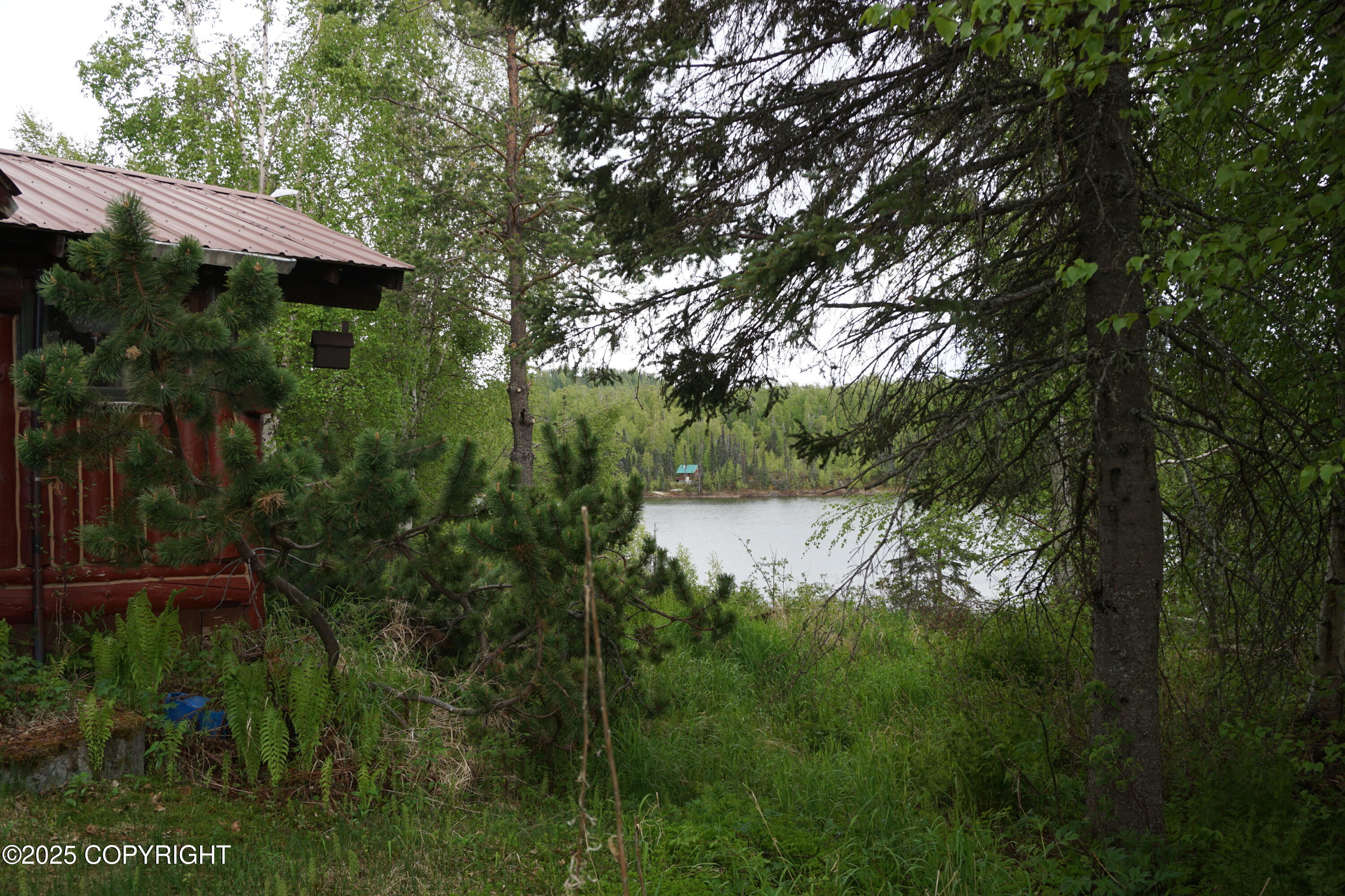 No Road Front Lake Asls 78-090, Talkeetna, Alaska image 6
