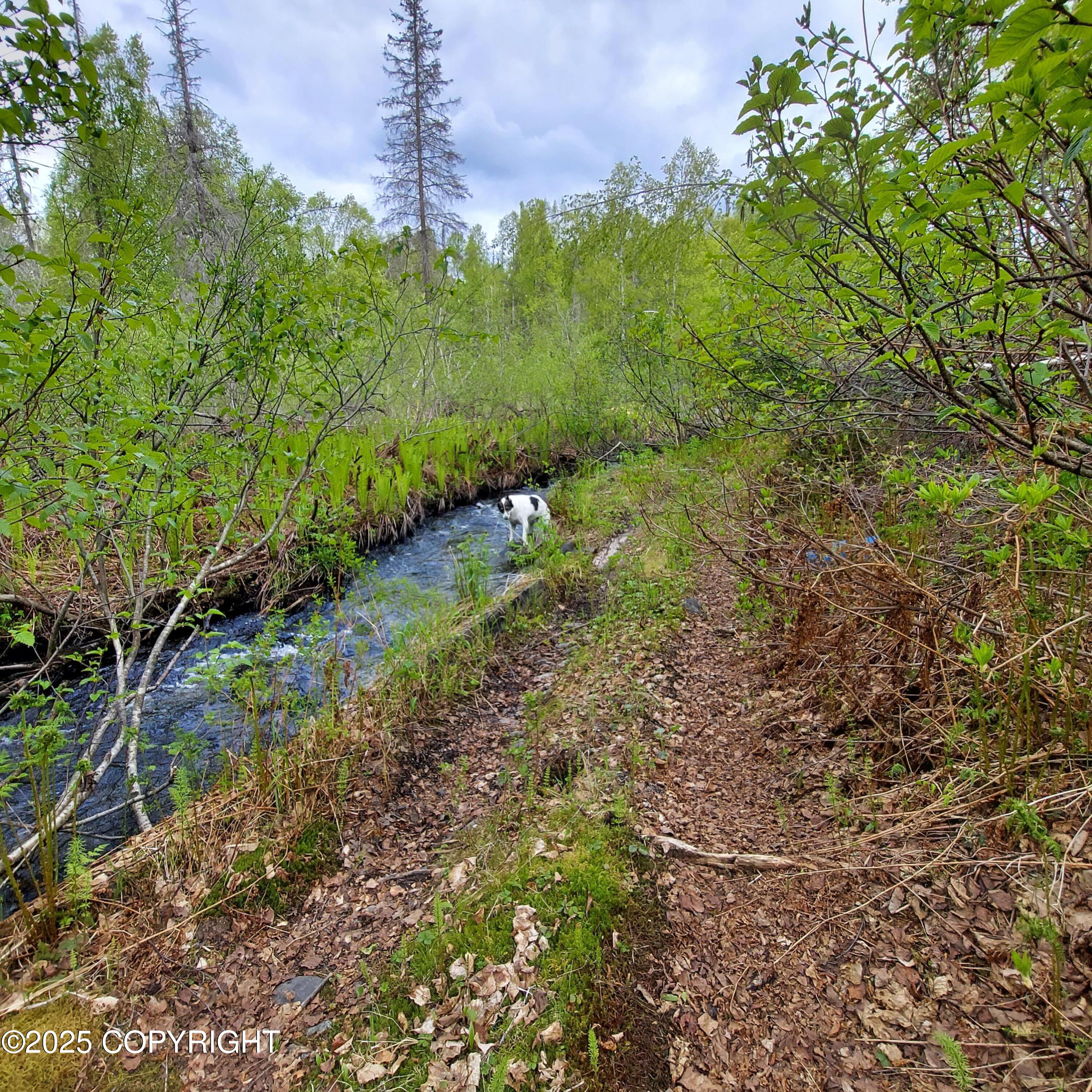 No Road Front Lake Asls 78-090, Talkeetna, Alaska image 4