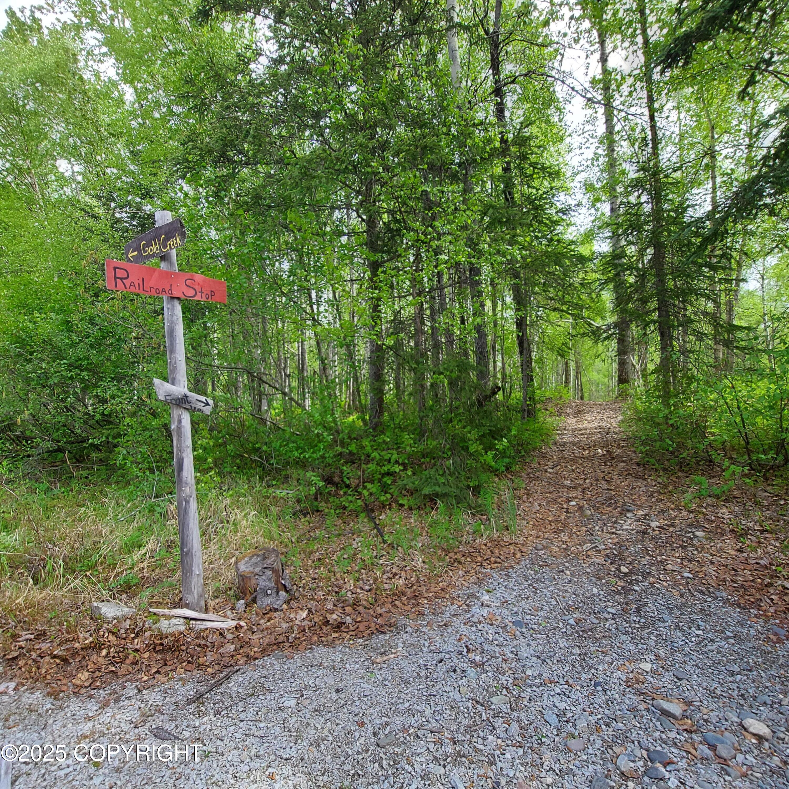 No Road Front Lake Asls 78-090, Talkeetna, Alaska image 2