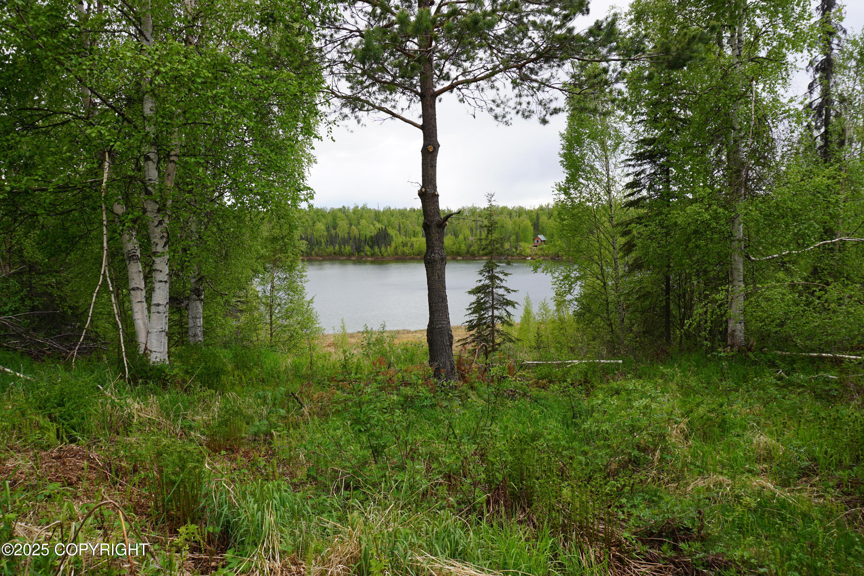 No Road Front Lake Asls 78-090, Talkeetna, Alaska image 42