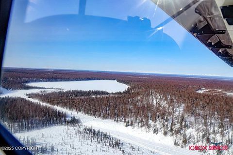 Photo of 20114 E Baldy Lake Drive, Talkeetna, AK 99676 (MLS # 25-14798)