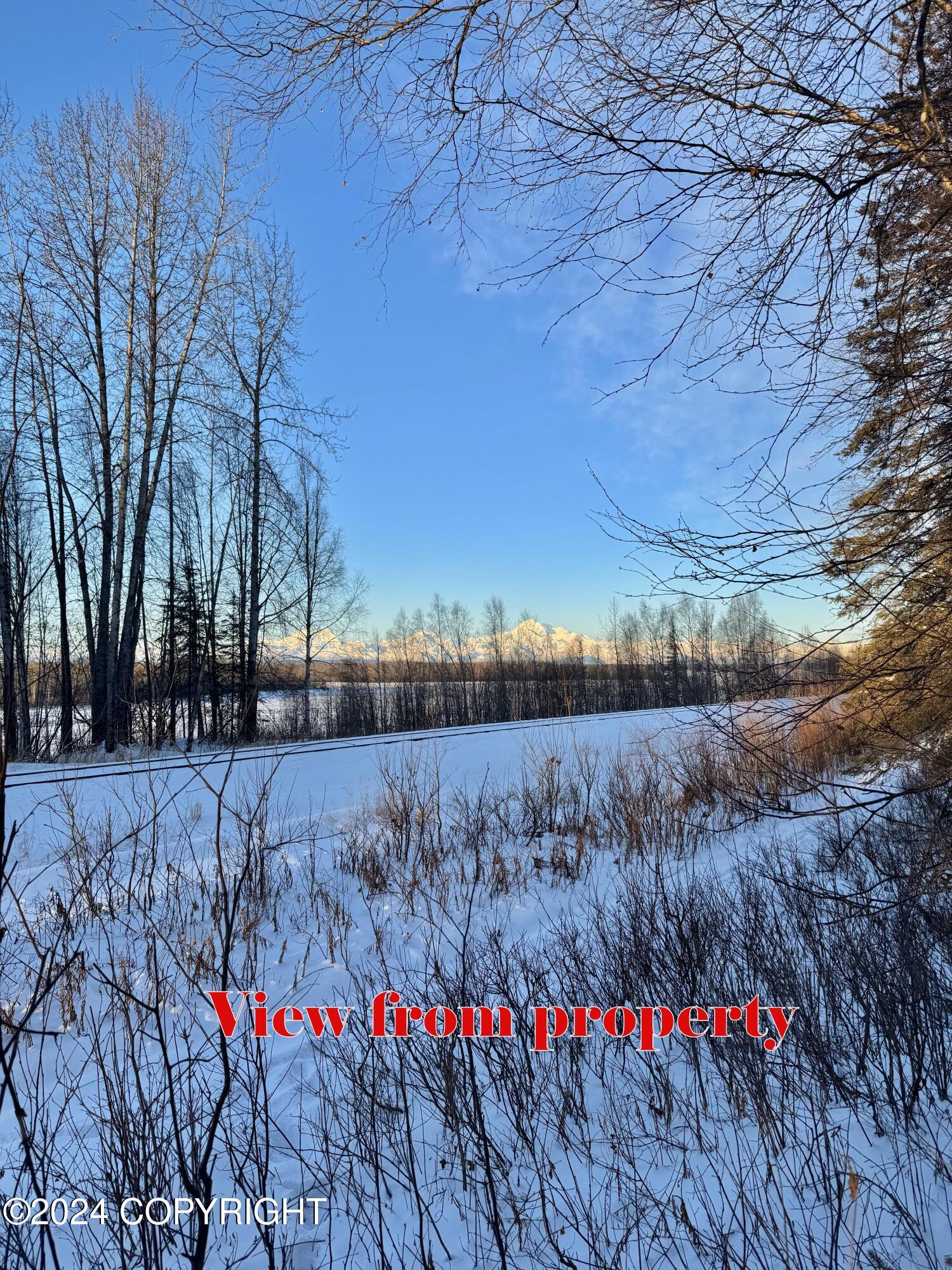 D001 S Red Tail Road, Talkeetna, Alaska image 2