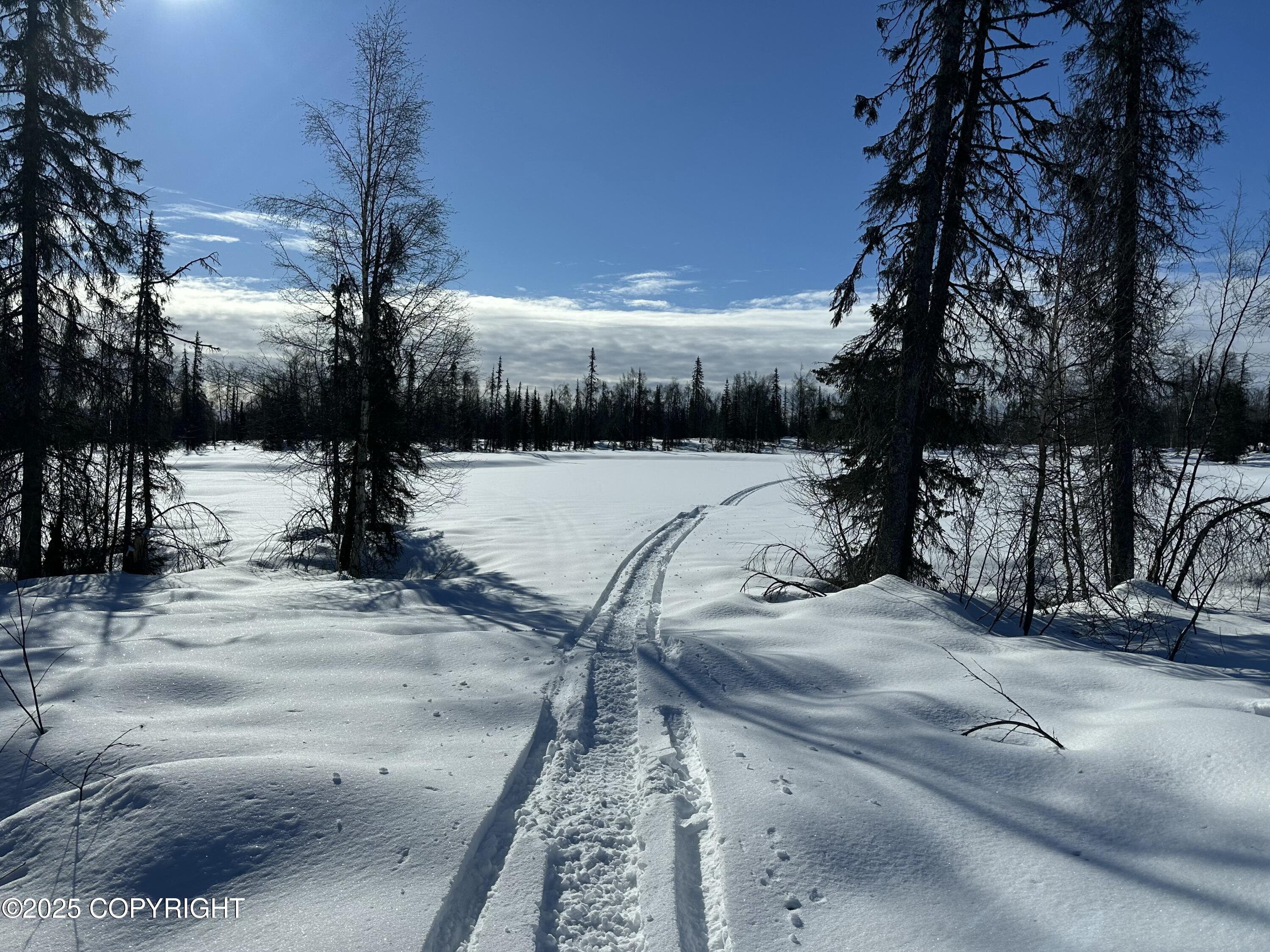 NHN Safari Lk Asls 80-188 B11 L3-1, Trapper Creek, Alaska image 2