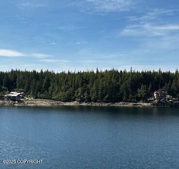 Vacant Land For Sale - LOT 43D Meyers Chuck<br/> Meyers Chuck, AK 99903