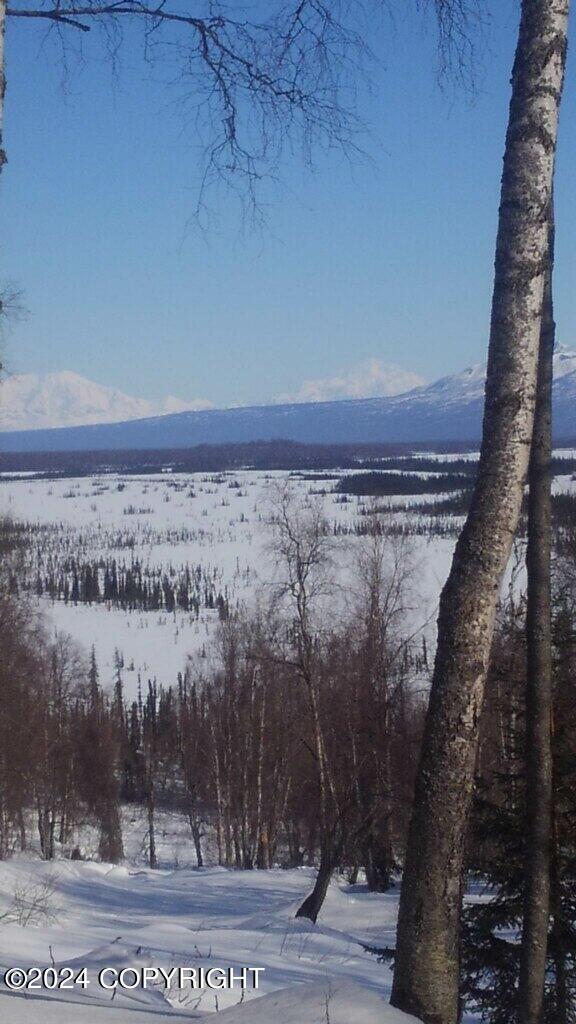 Tract B Asls 87-024, Skwentna, Alaska image 27