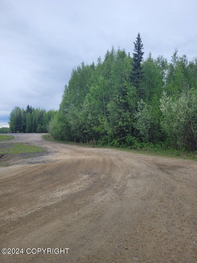 NHN Badger Badger Road Street, North Pole, Alaska image 1