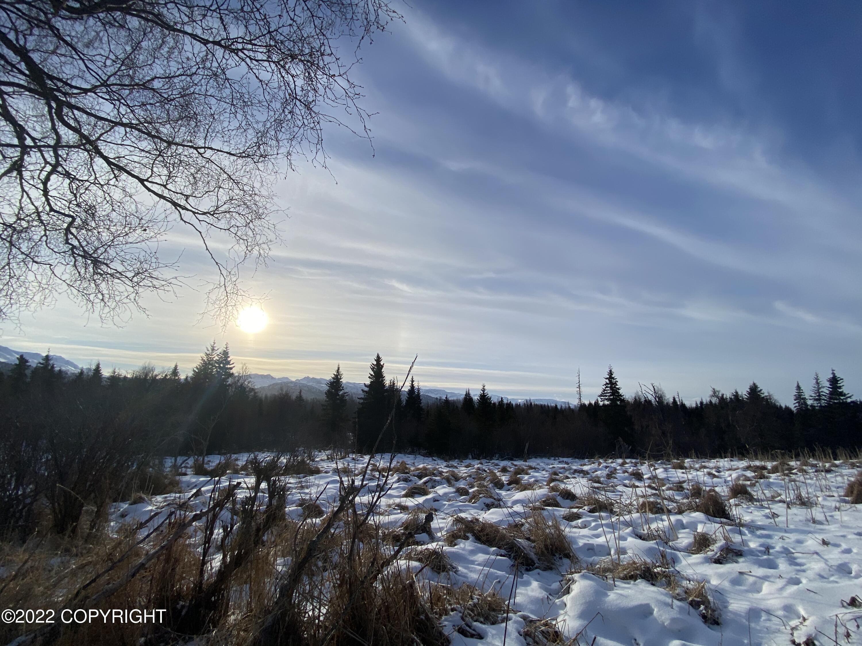 000 Fox River View, Homer, Alaska image 23