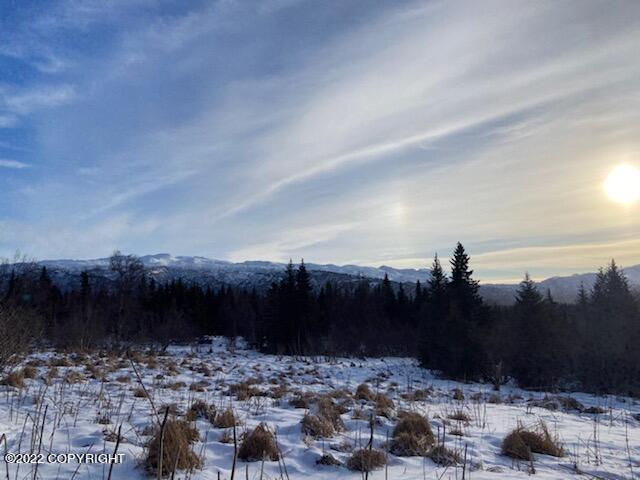 000 Fox River View, Homer, Alaska image 31