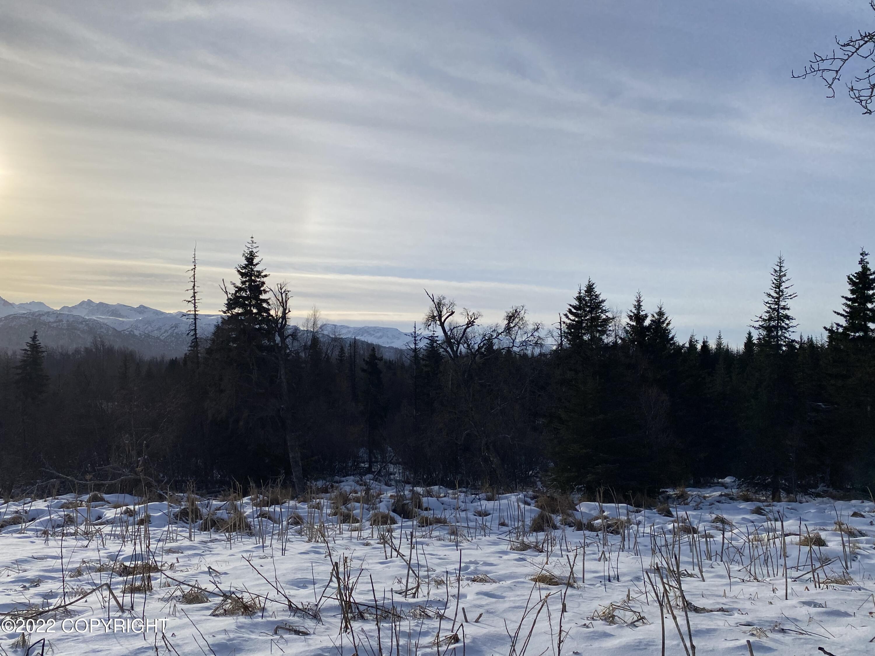 000 Fox River View, Homer, Alaska image 25