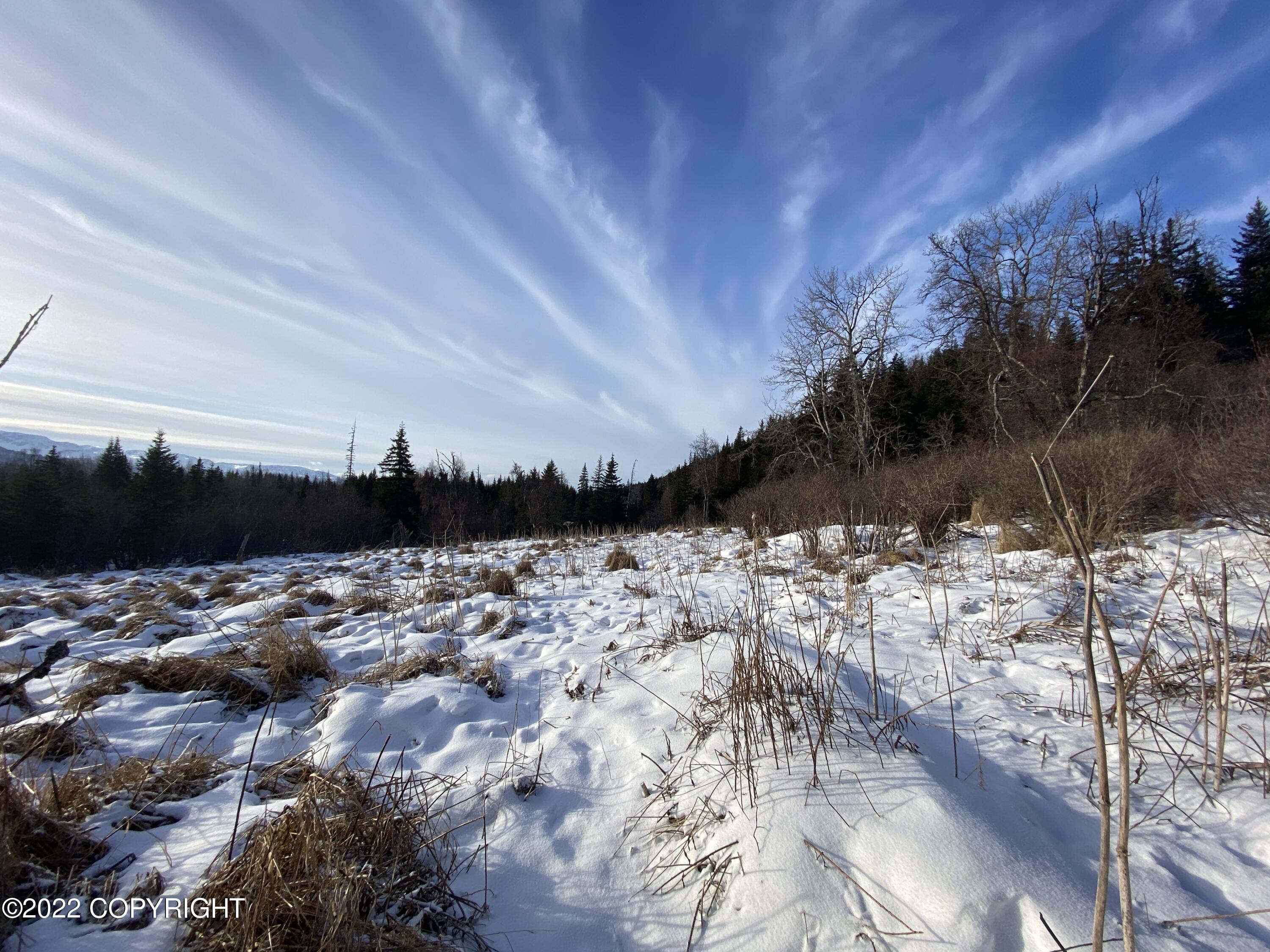 000 Fox River View, Homer, Alaska image 21