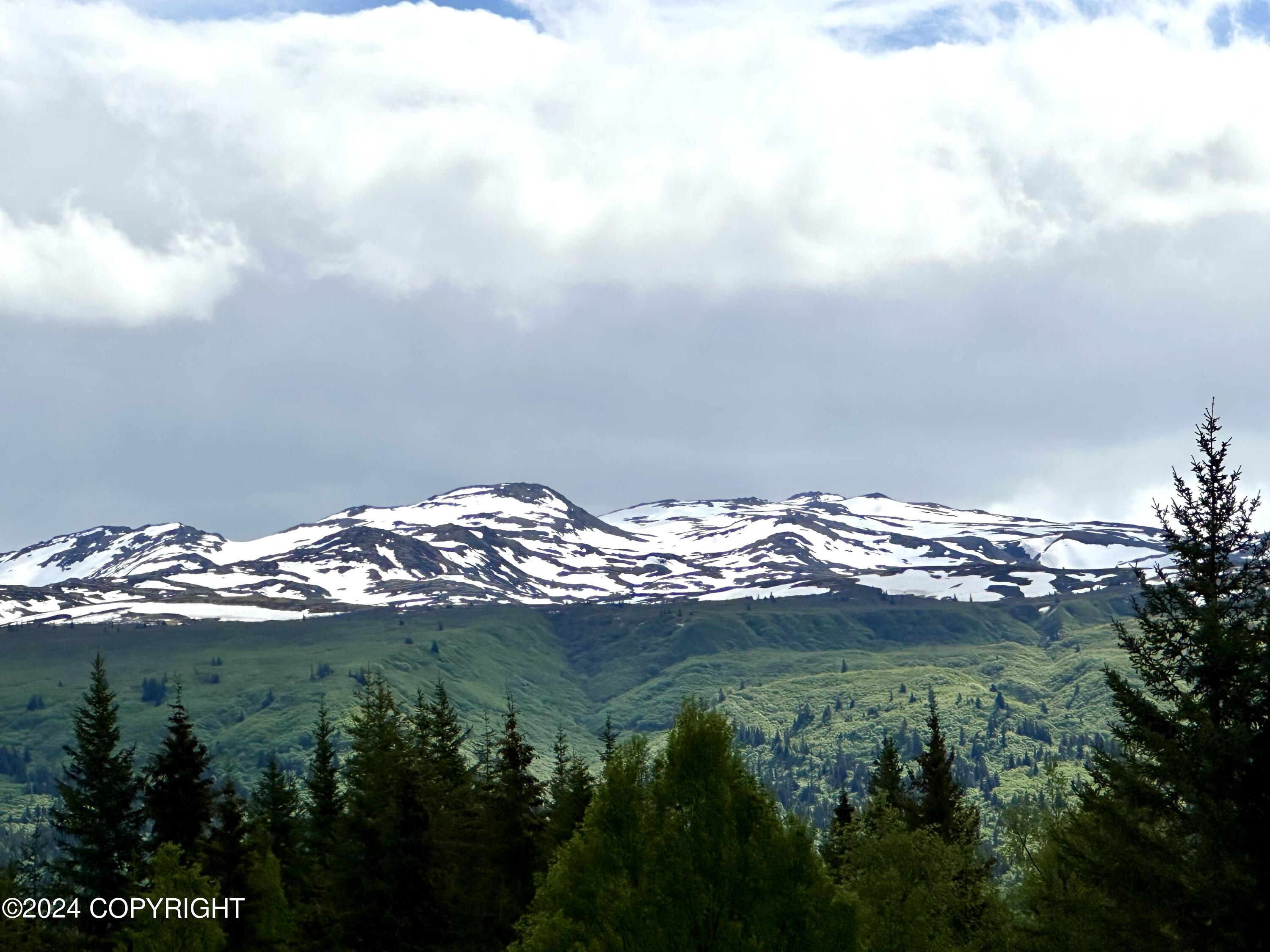 000 Fox River View, Homer, Alaska image 1