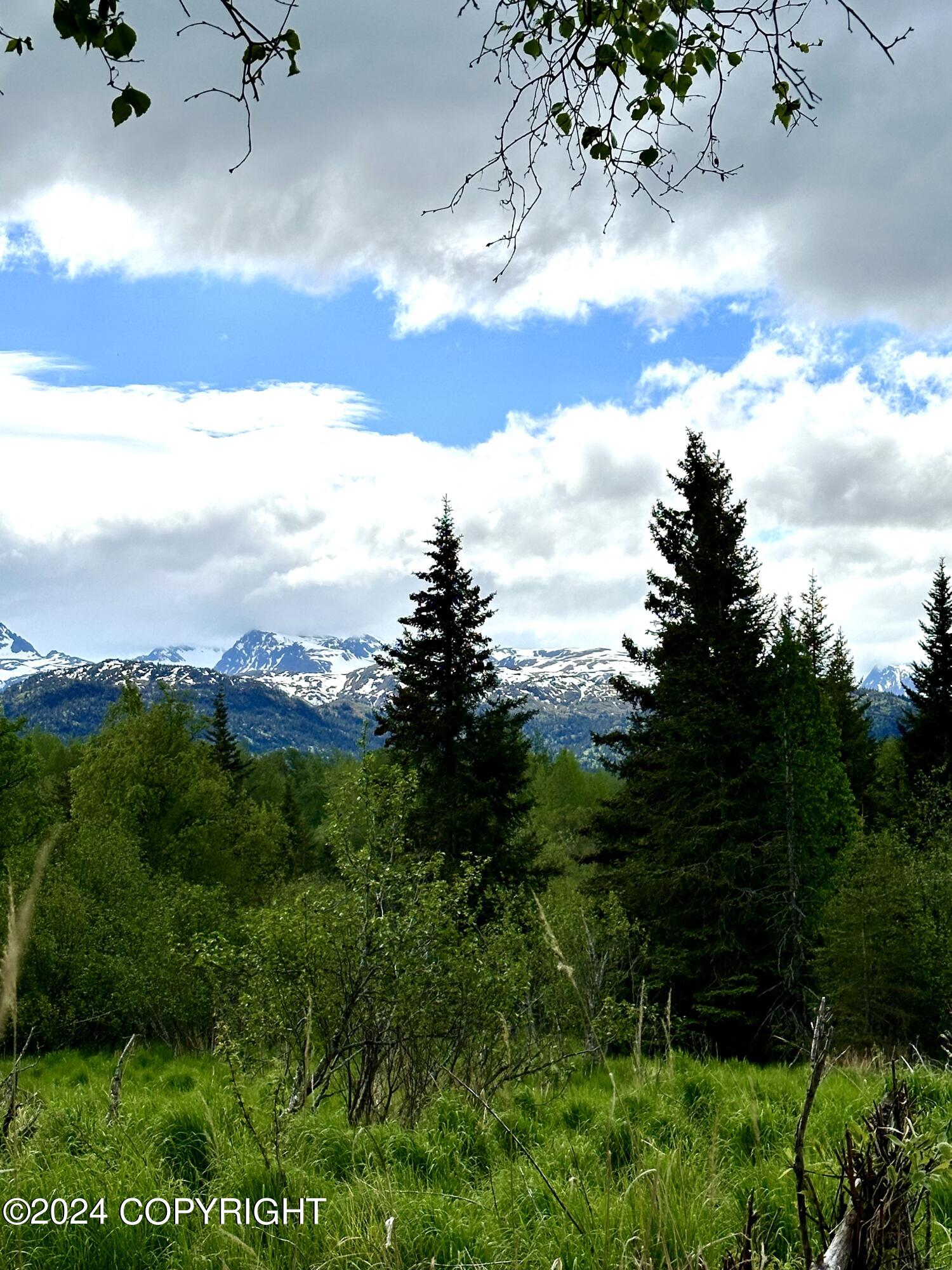 000 Fox River View, Homer, Alaska image 8