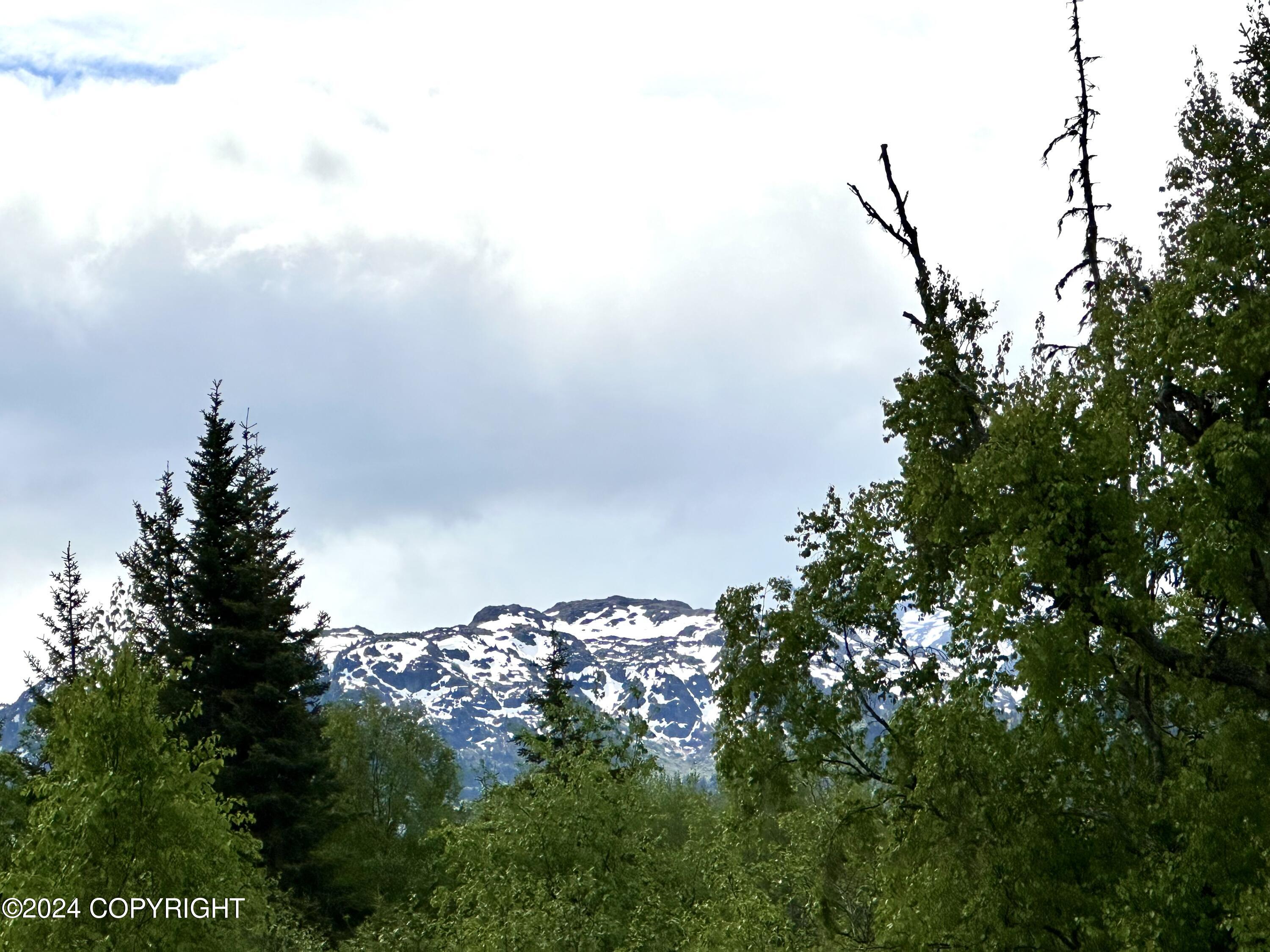 000 Fox River View, Homer, Alaska image 17