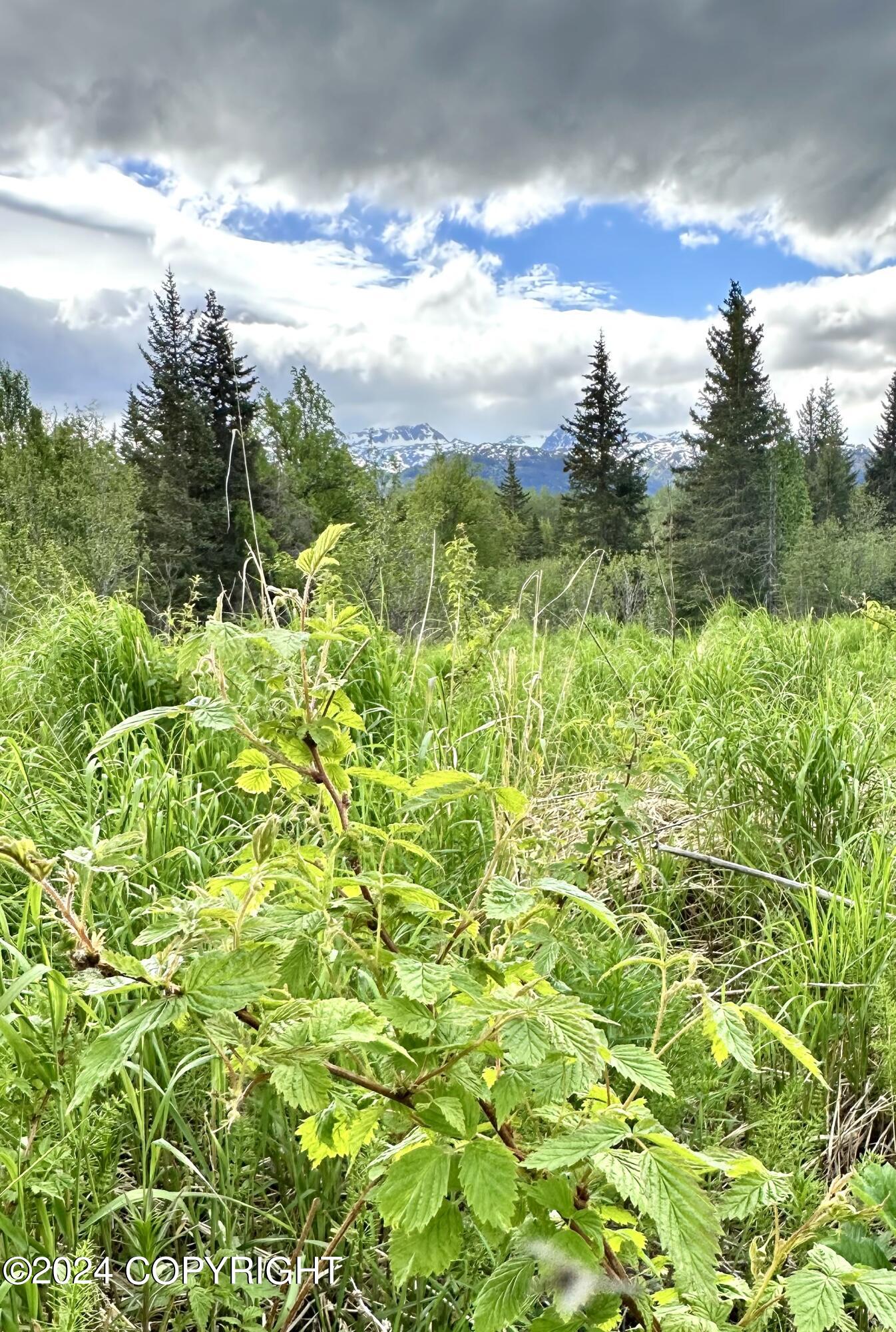 000 Fox River View, Homer, Alaska image 5