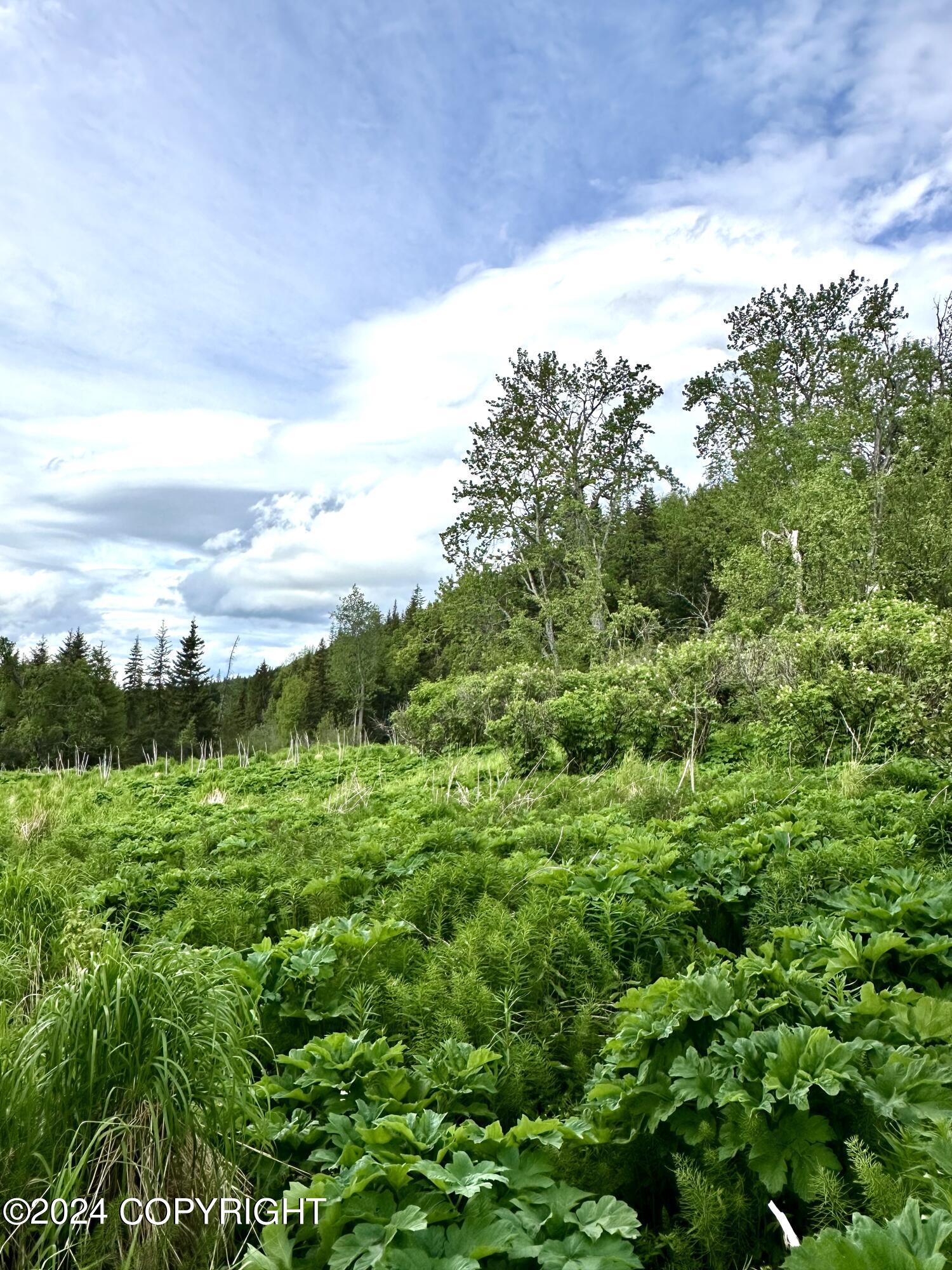 000 Fox River View, Homer, Alaska image 13