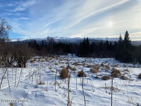 000 Fox River View, Homer, Alaska image 29