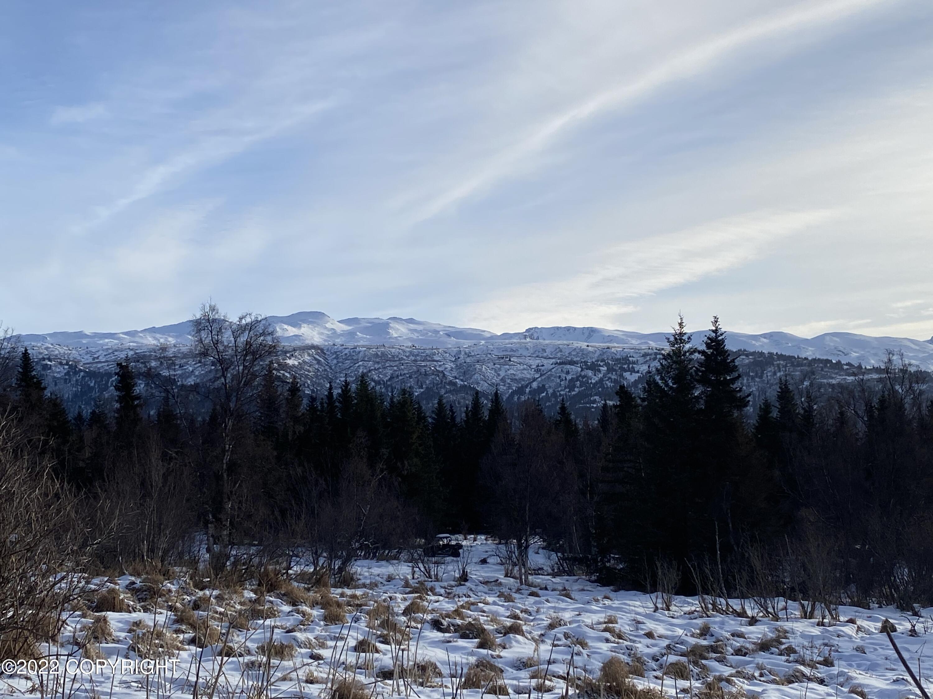 000 Fox River View, Homer, Alaska image 26