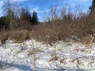000 Fox River View, Homer, Alaska image 30