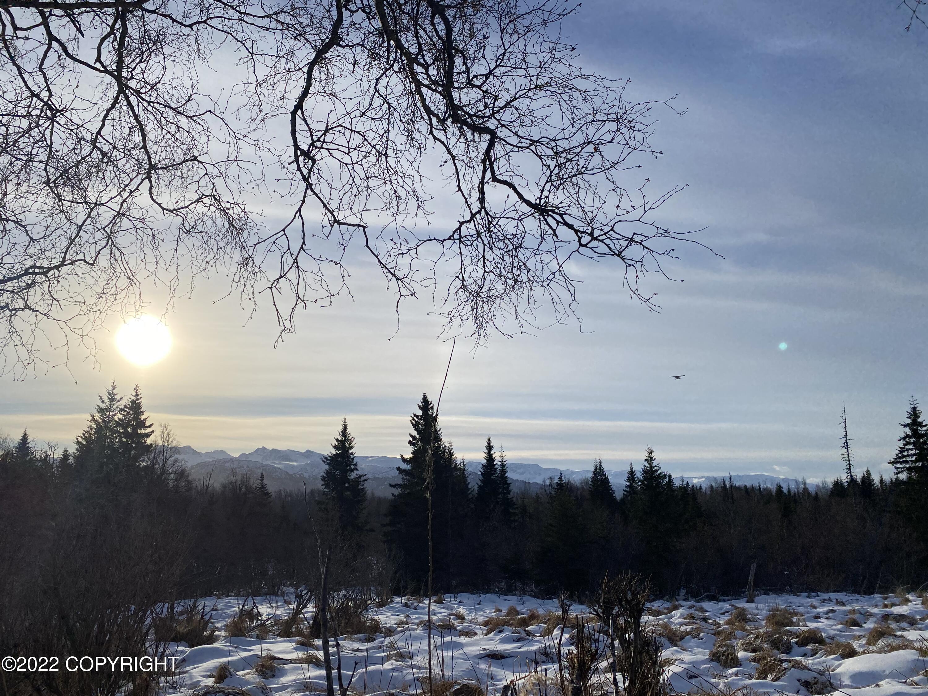 000 Fox River View, Homer, Alaska image 19