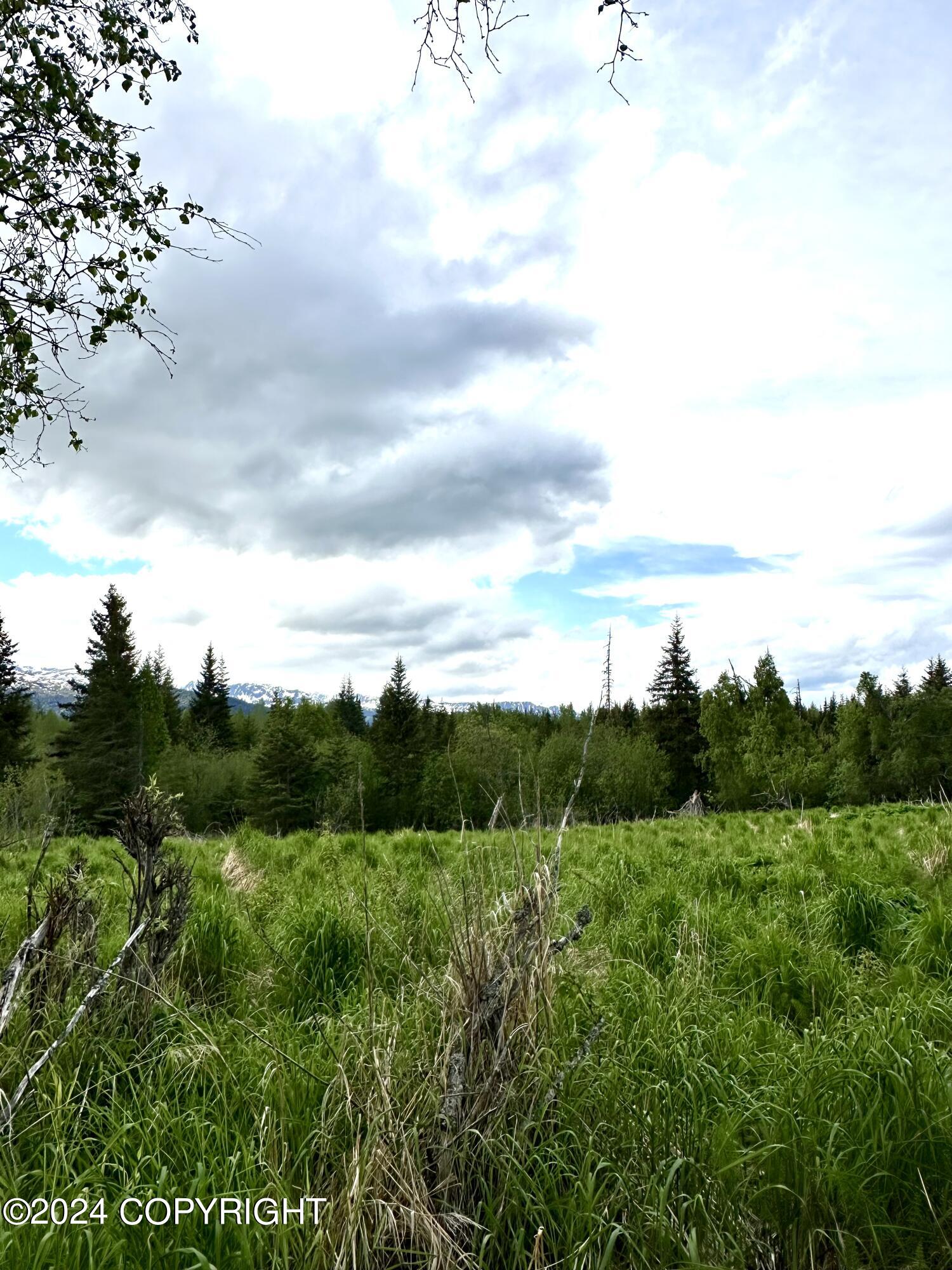 000 Fox River View, Homer, Alaska image 15