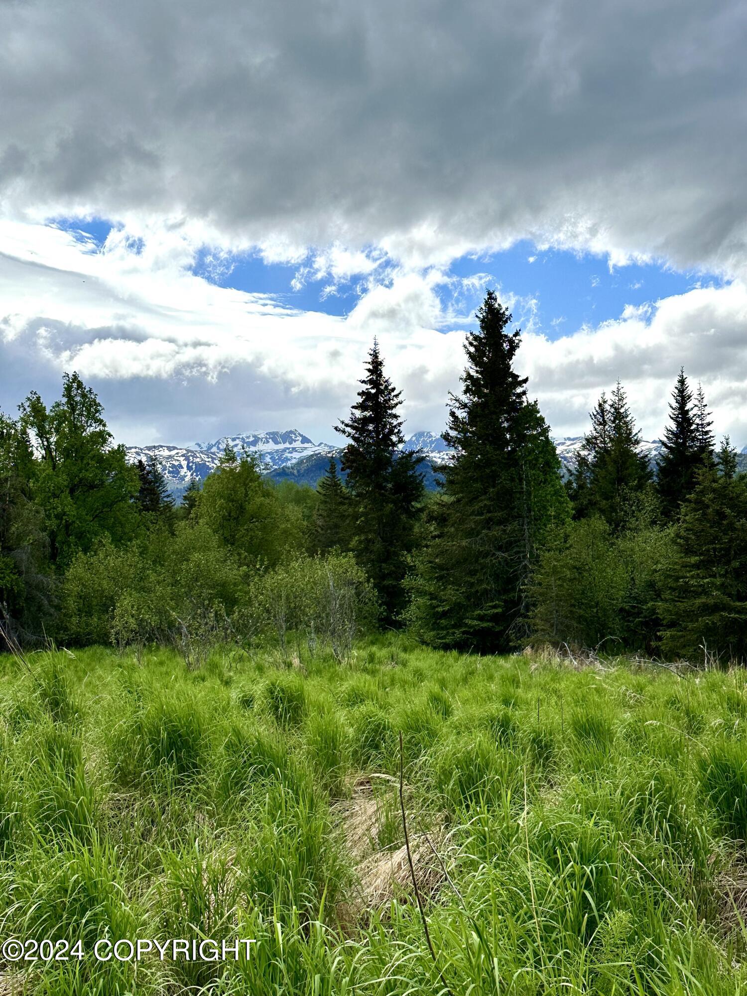 000 Fox River View, Homer, Alaska image 6