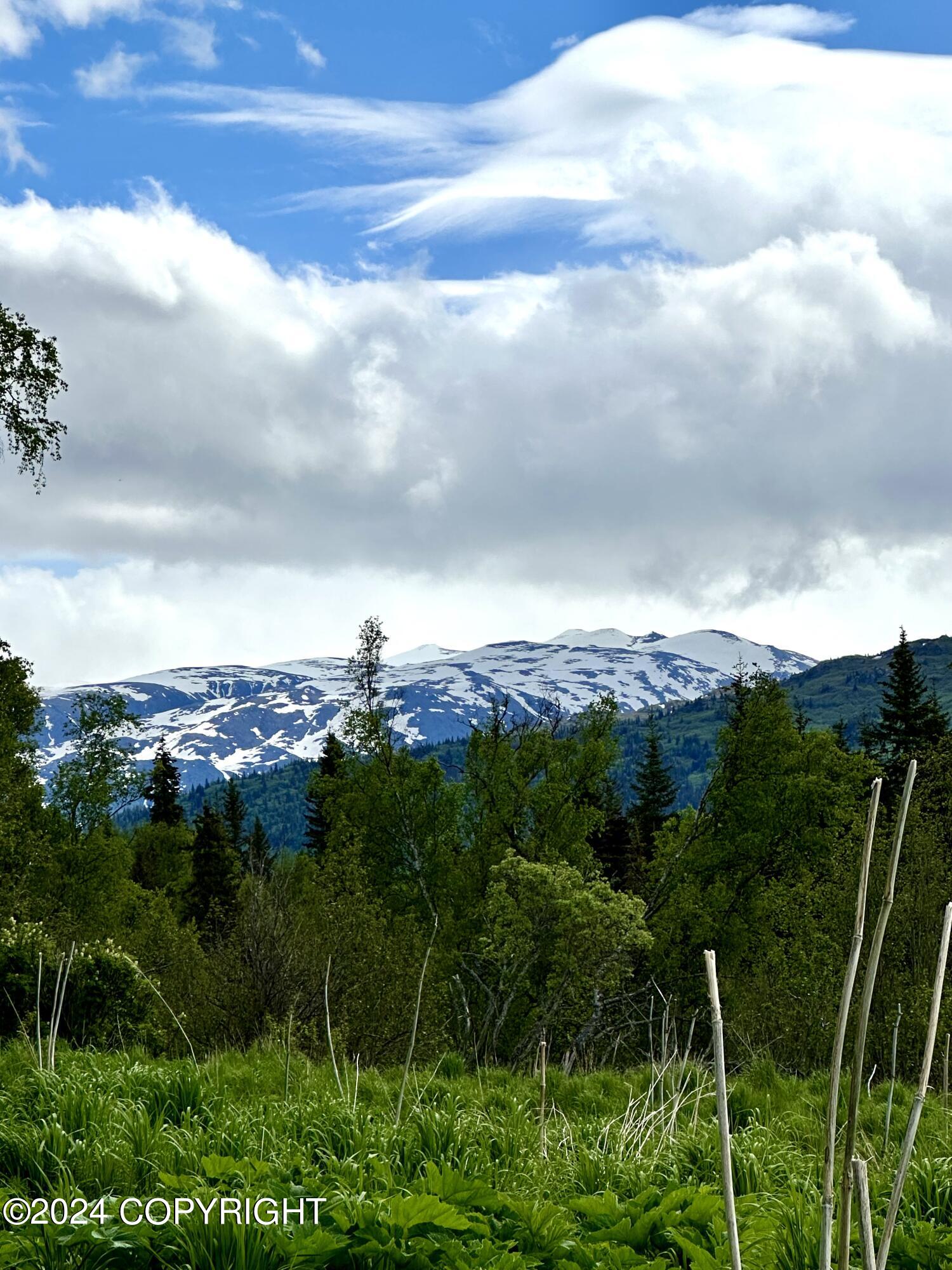 000 Fox River View, Homer, Alaska image 2