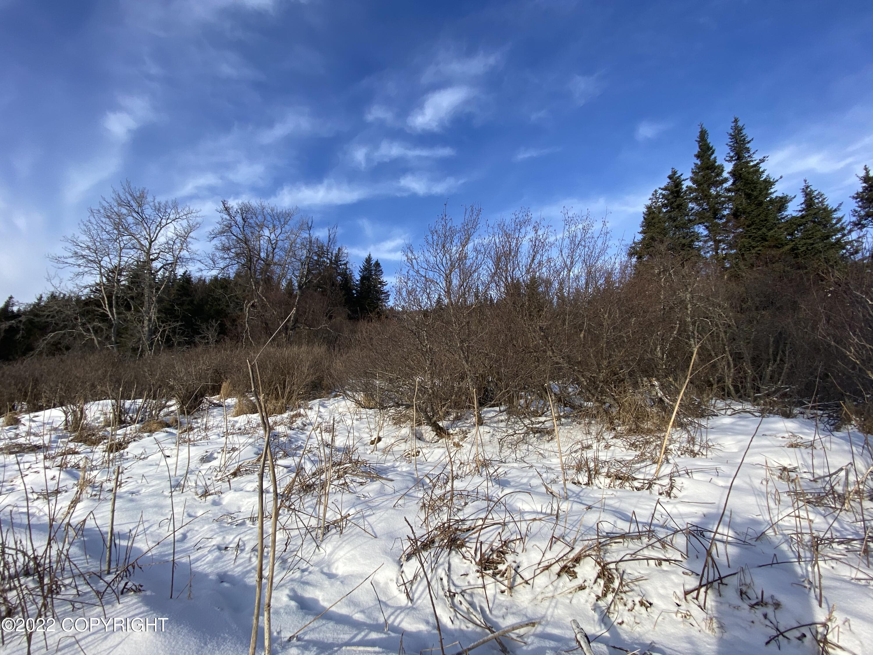 000 Fox River View, Homer, Alaska image 22