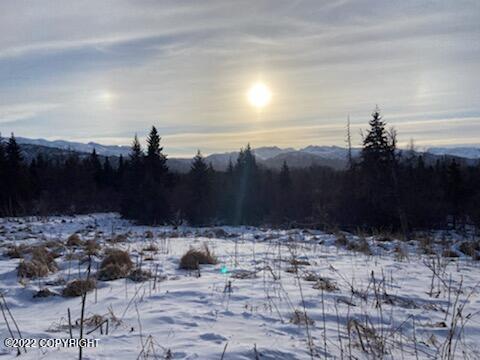 000 Fox River View, Homer, Alaska image 32