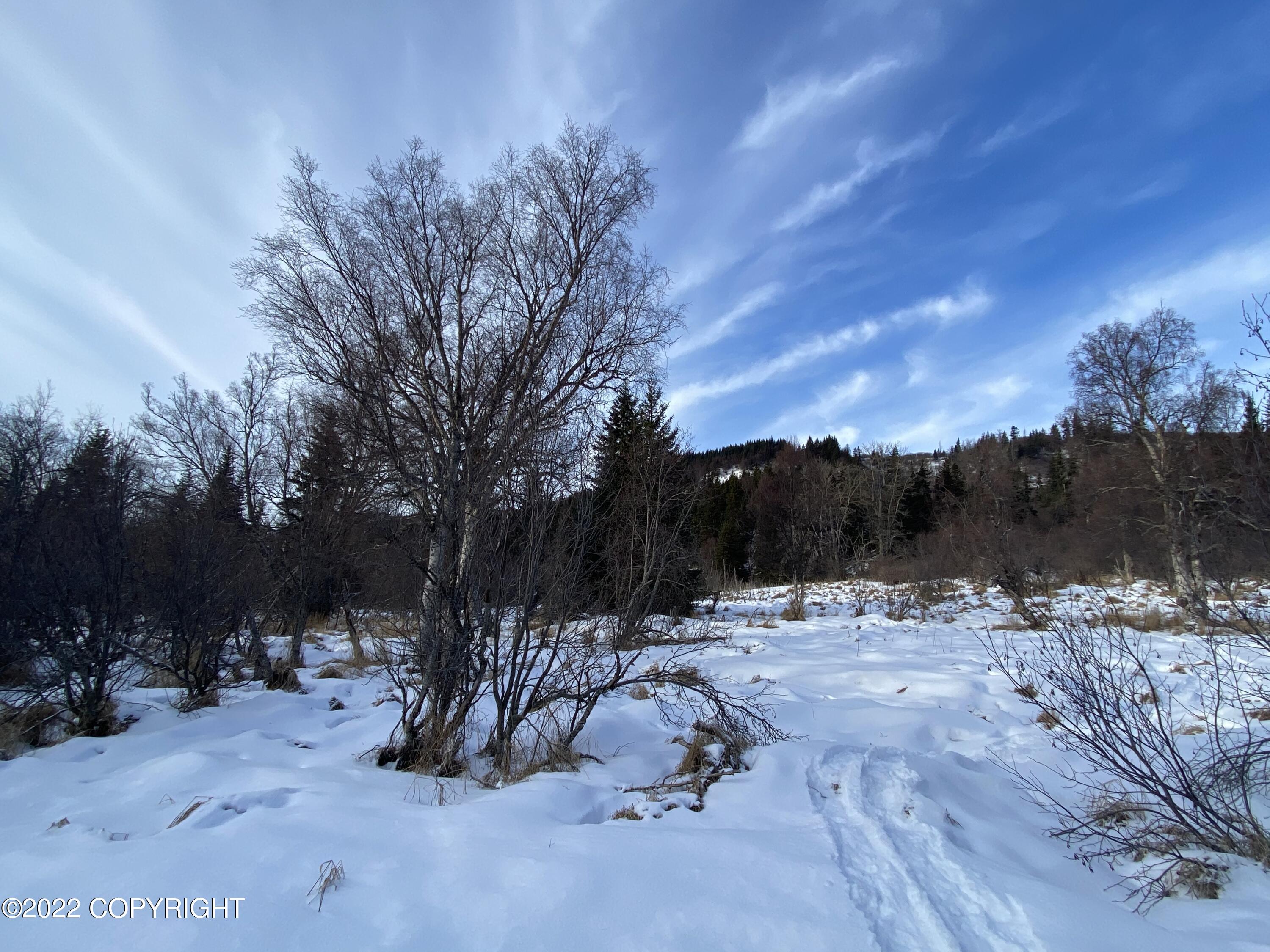 000 Fox River View, Homer, Alaska image 27