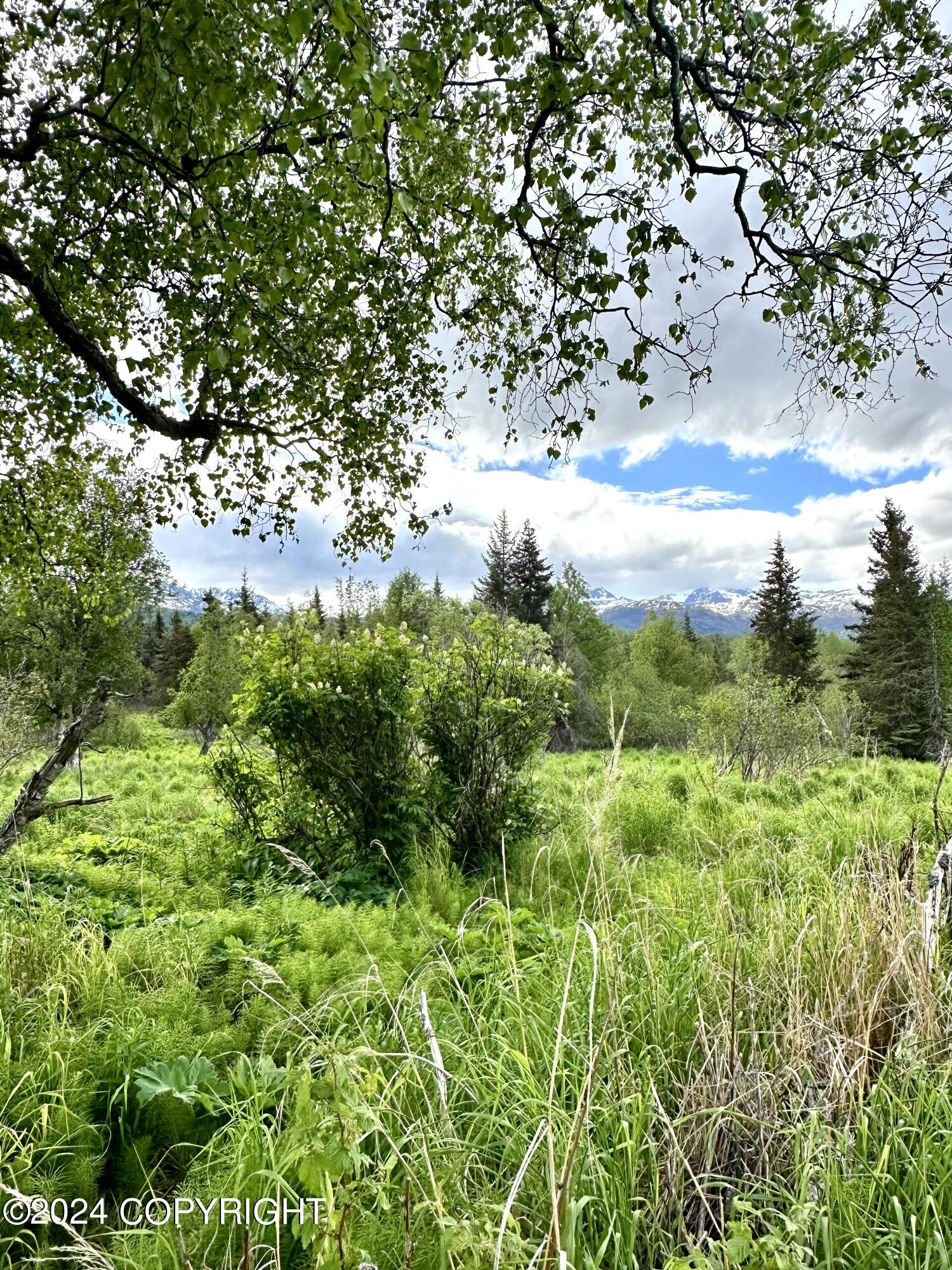 000 Fox River View, Homer, Alaska image 16