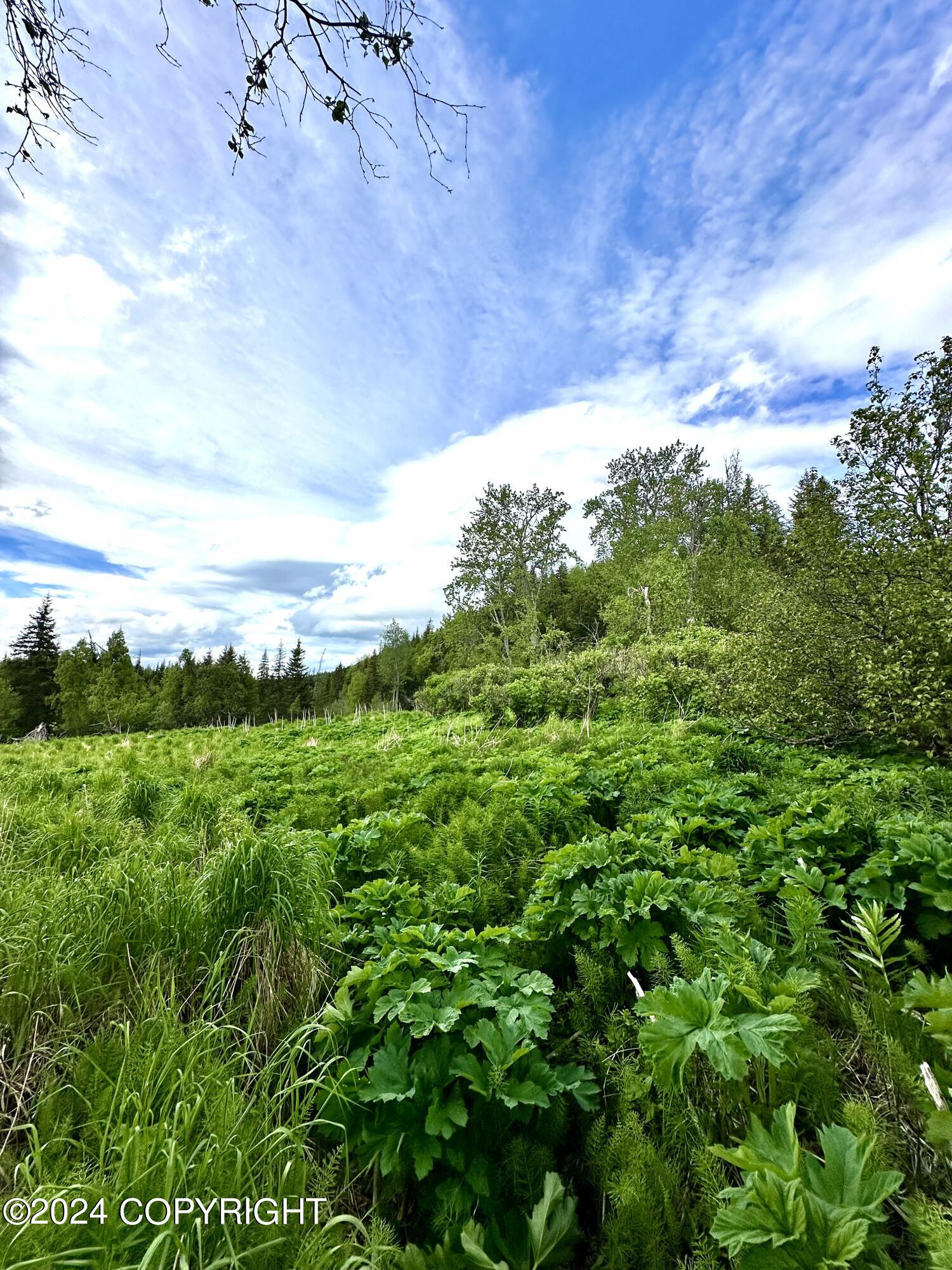 000 Fox River View, Homer, Alaska image 12