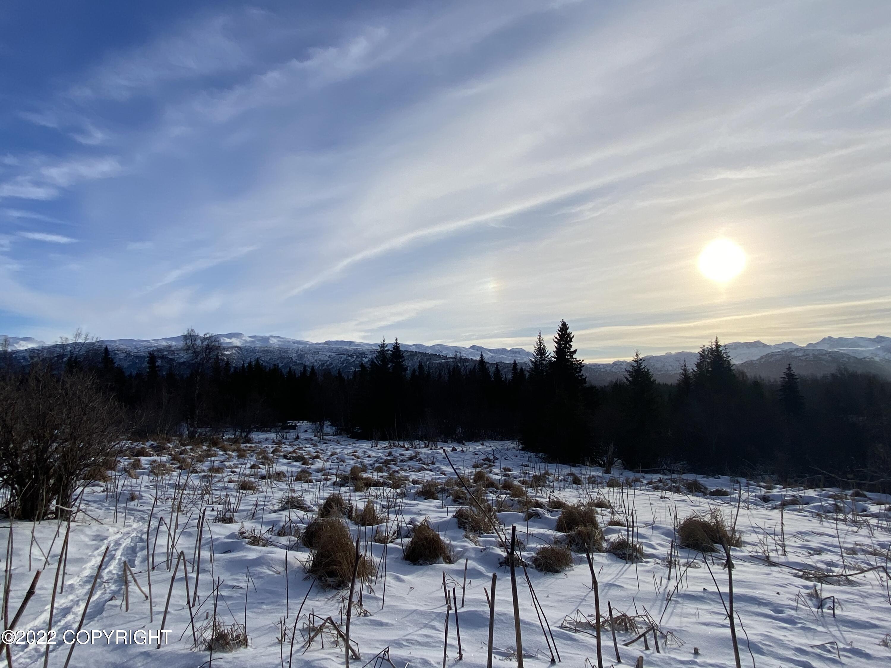 000 Fox River View, Homer, Alaska image 24