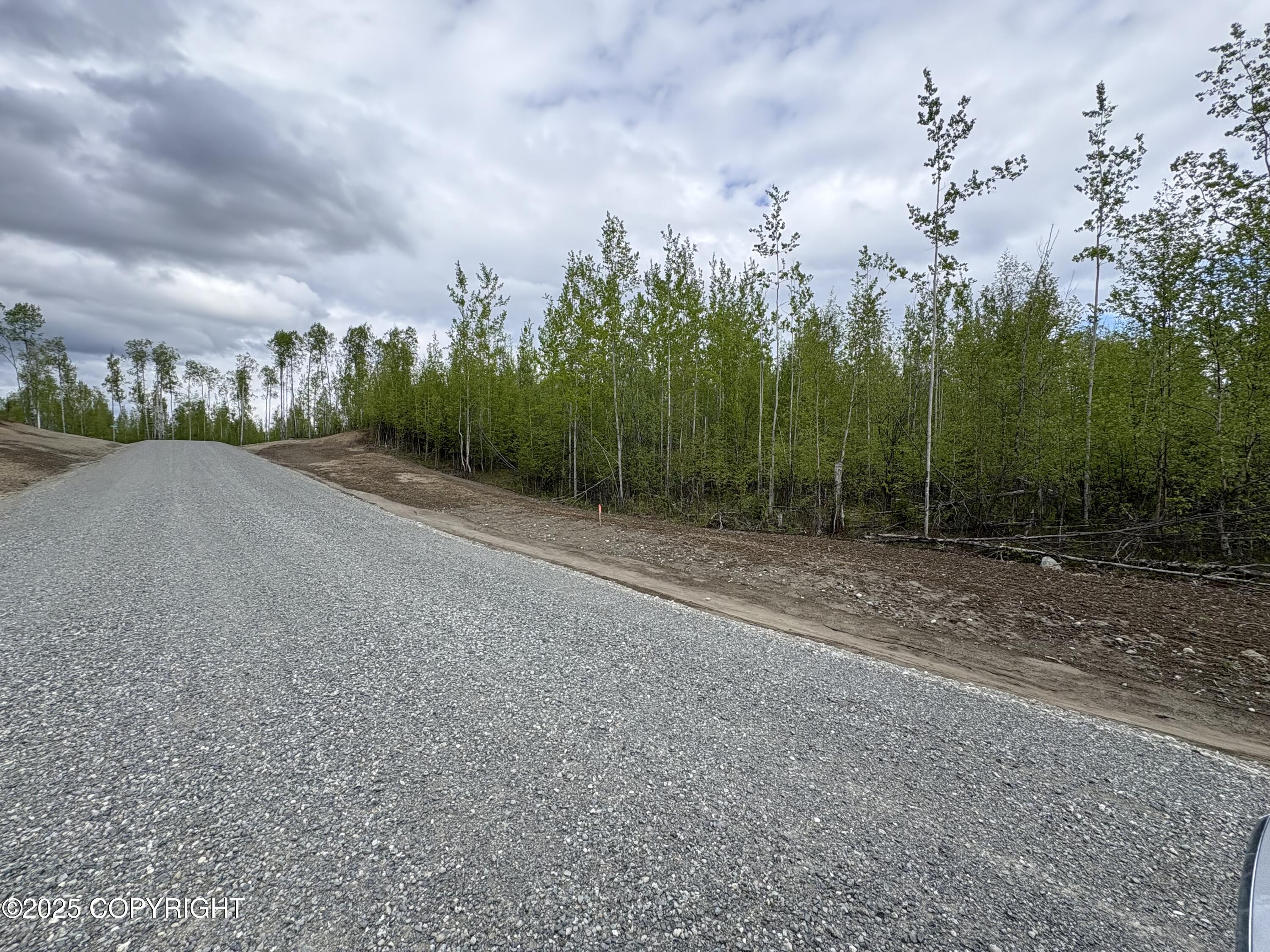 L1 B3 S Davies, Big Lake, Alaska image 2