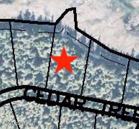 L6B2 Cedar Tree Drive Coffman Cove AK 99918