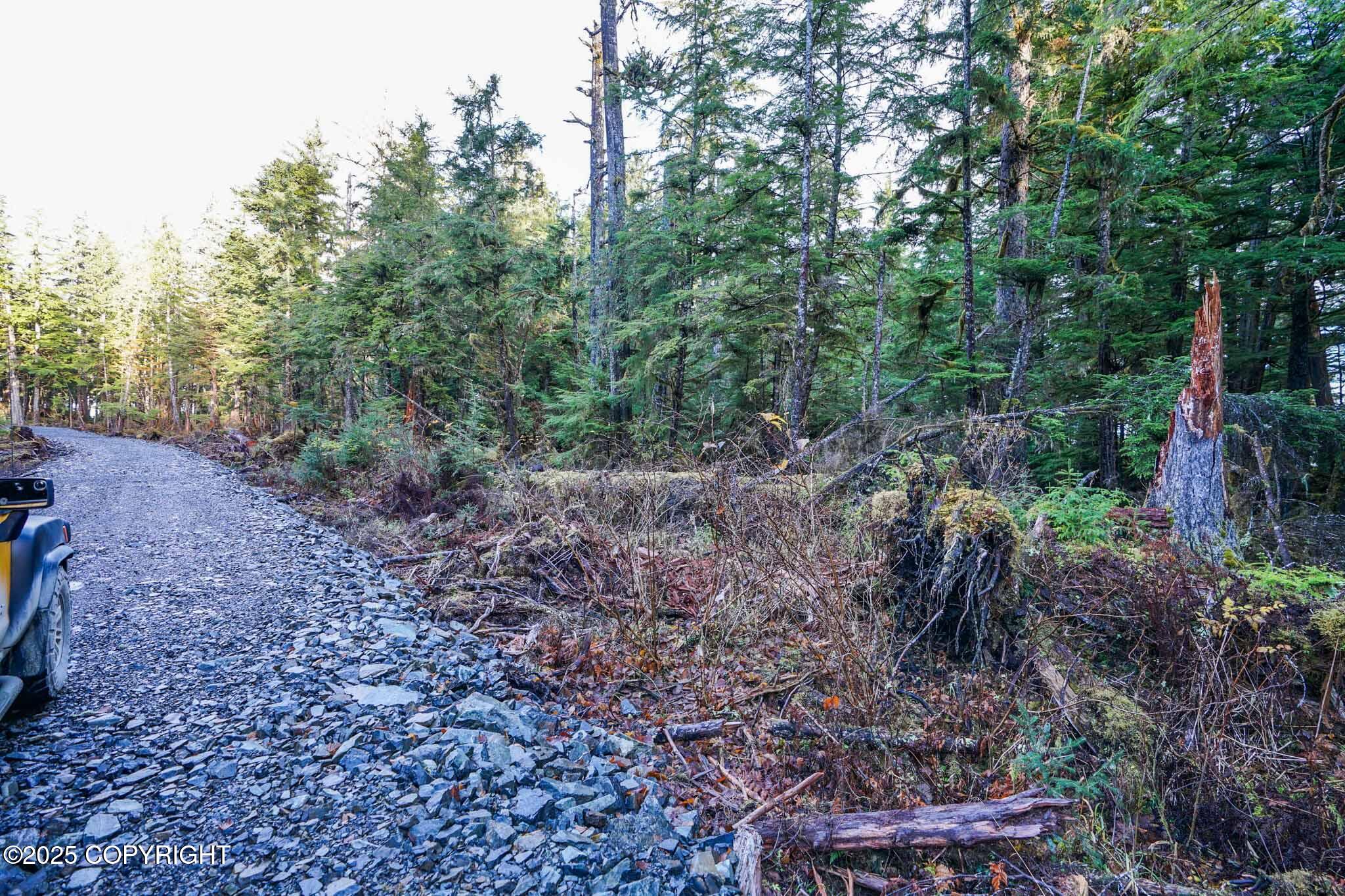 L6B2 Cedar Tree Drive