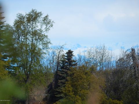 Vacant Land For Sale - 17244 Hyila Lane<br/> Ninilchik, AK 99639