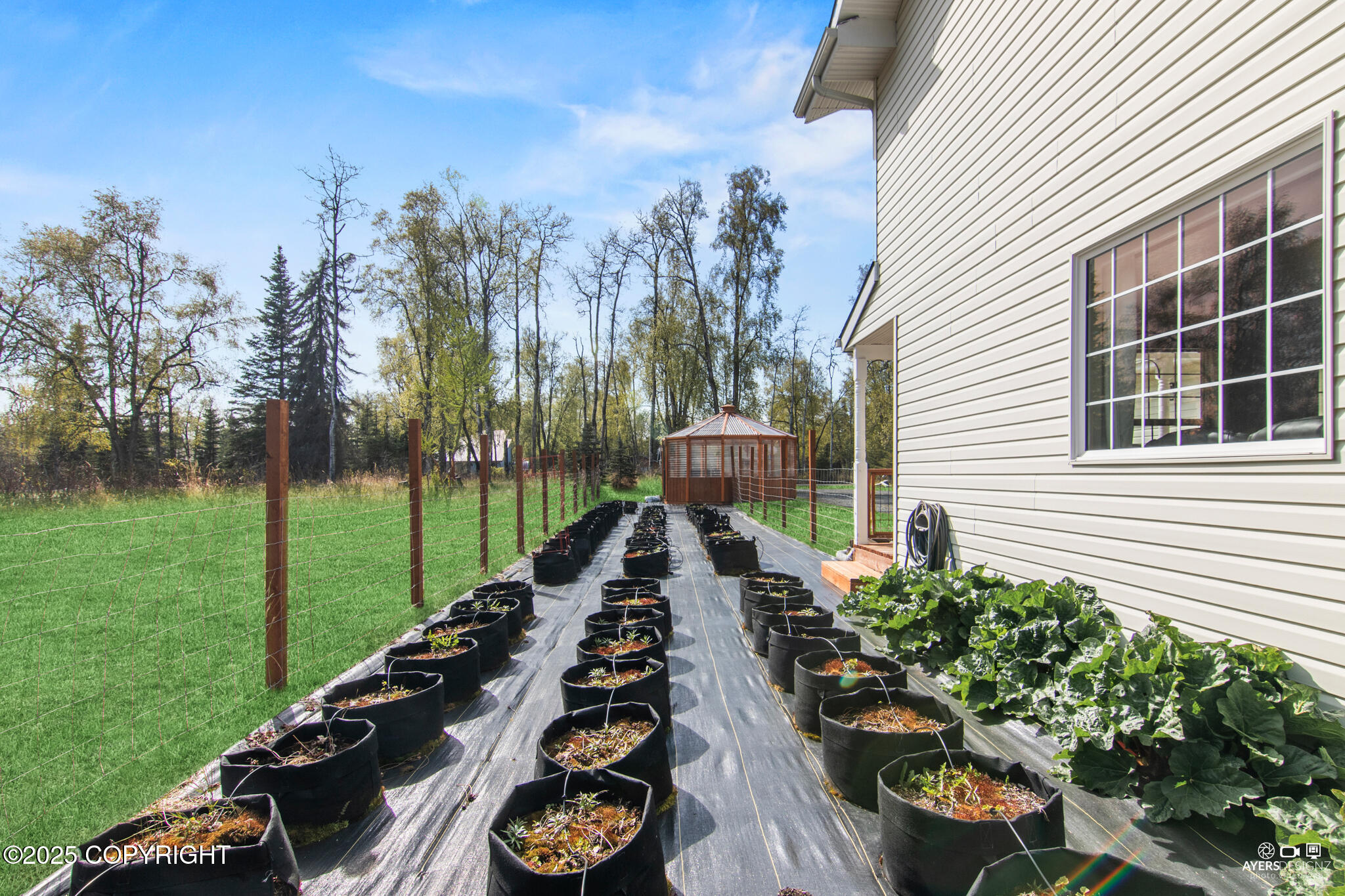 36400 Pingo Street, Soldotna, Alaska image 3