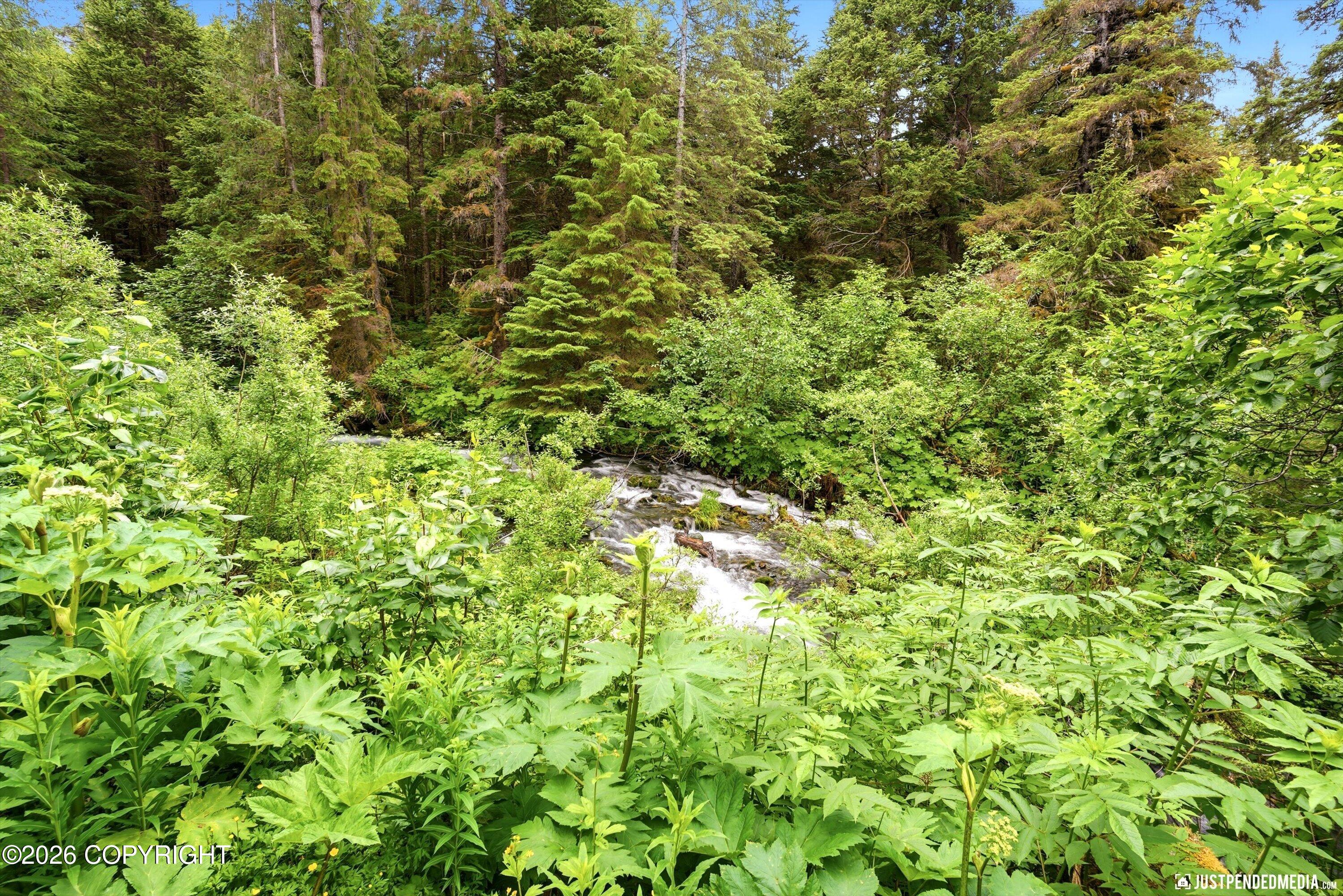 165 Virgin Creek Road
