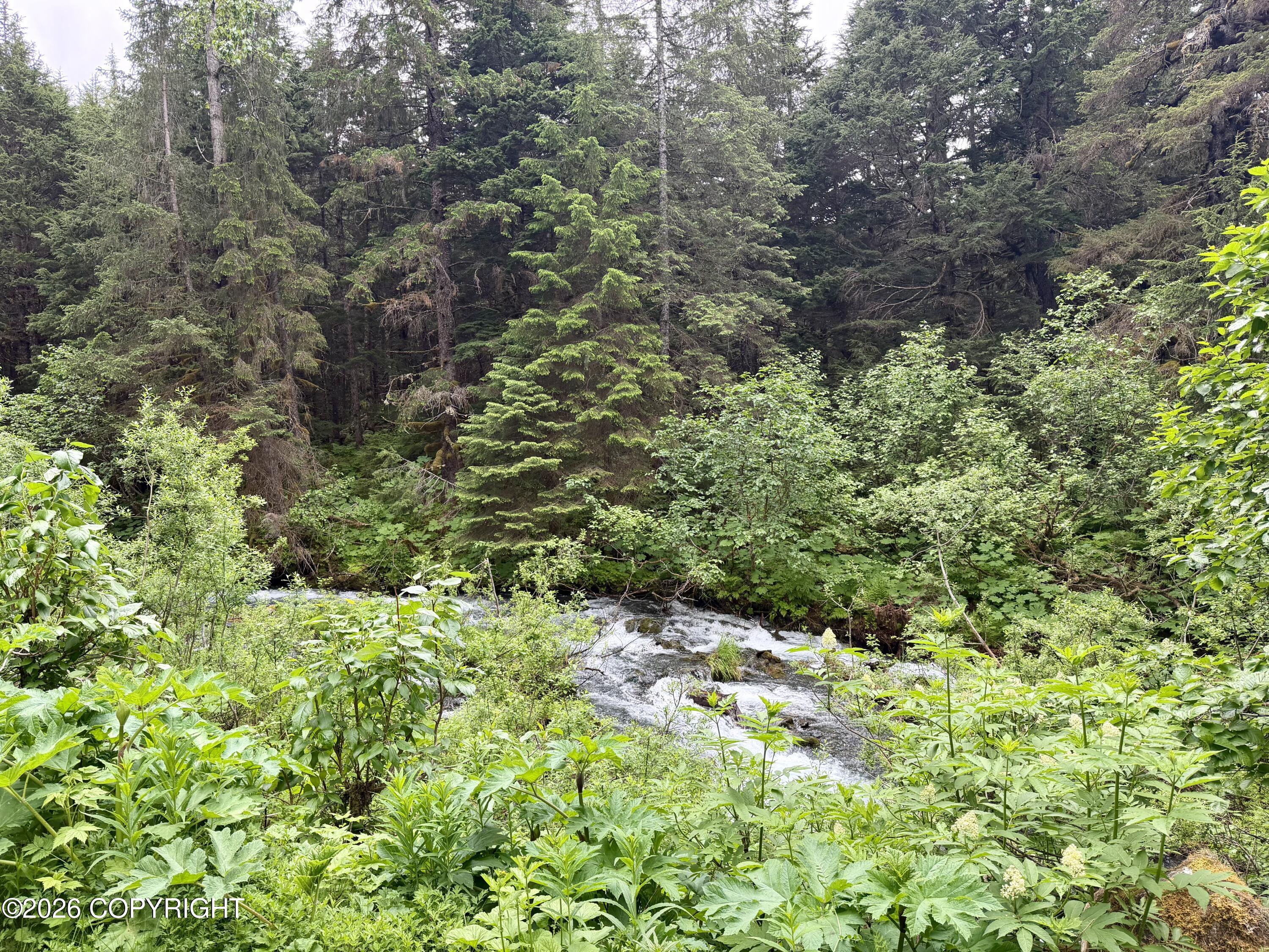 165 Virgin Creek Road