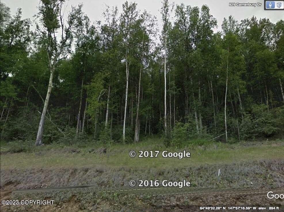 L28 B3 Canterbury Drive, Fairbanks, Alaska image 1